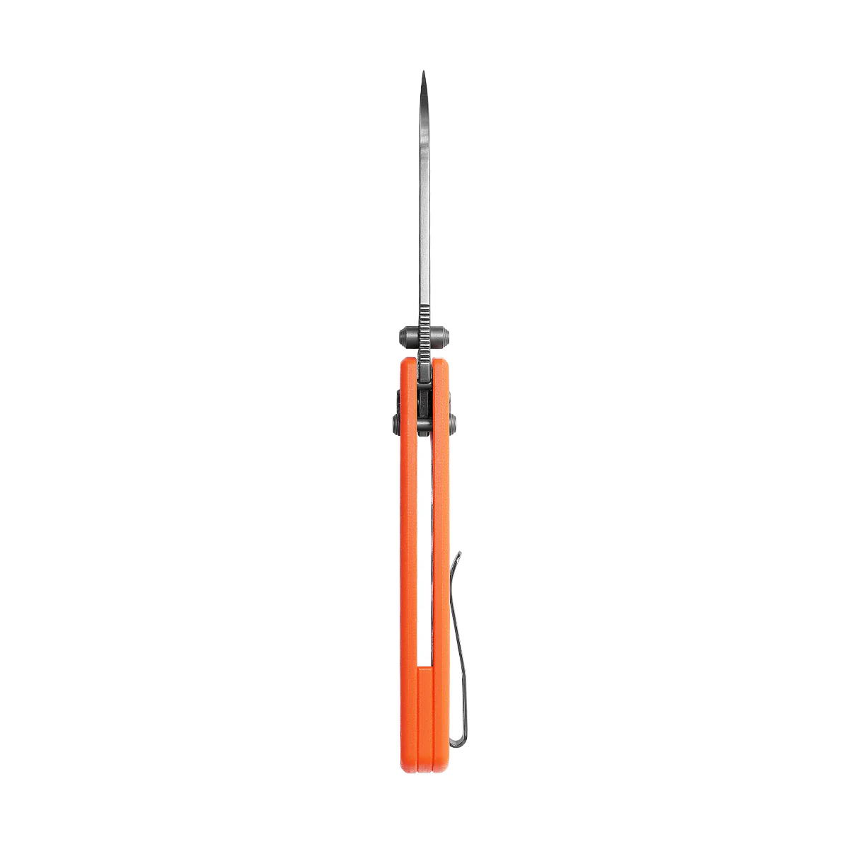 Raccoon® - Crossbar Lock knife (3.25" 14C28N Blade & G10 Handle) - RCCB32VTGO - Image 5